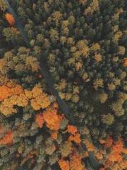 lt;lt;lt;Reborn Soar