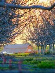 lt;Mr. Bao, Mrs. Bao