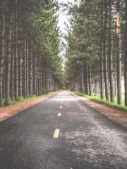 Rebirth of the Urban