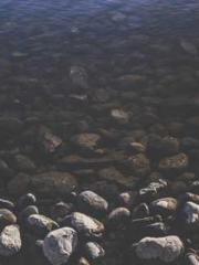 Meng Jinyu Gu Jingxi