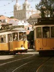 Cultivating My Empre