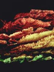 Bodhisattva of Compa