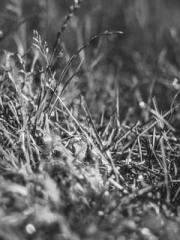 One Night of Indulge