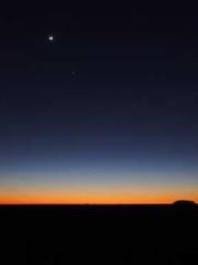 Spring fills Beijing