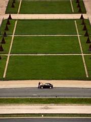 My Amazing Female Te