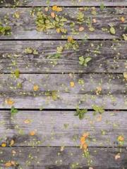 One person opens the