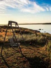 The Return of the Go