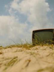 The Favorite Concubi