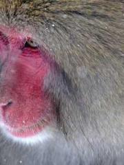 lt;Diga: From Jetton