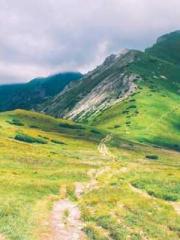 King of Nine Profoun