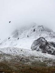 The Sovereign of the