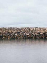 Bones-Eating Marriag