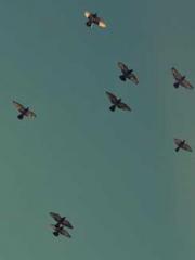 Mr. Shen, overdue an