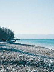 The Legend of the Dr