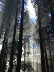 One person opens the