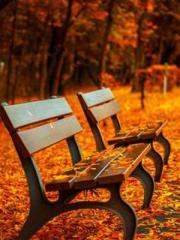 The Legend of the Dr