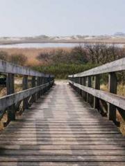 My pets are all amaz