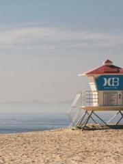 Become a big shot in