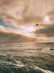 Shen Ning Ran Bao Ji