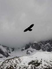 Rong Shao Nan Ning Y