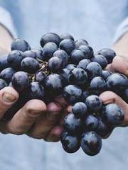 Falling for You: The