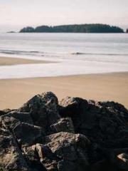 Double Blessing: CEO