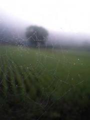 The Heavenly Eye Gho