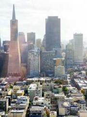 Saintly Gate Venerab