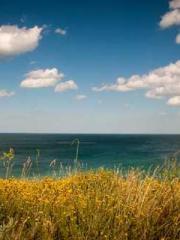 My husband is the Ki