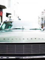 lt;lt;Know Green, Do