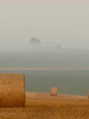 Do not deprive me of