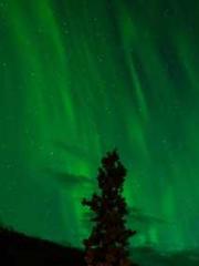 Lin Feng Lin Yun Yao