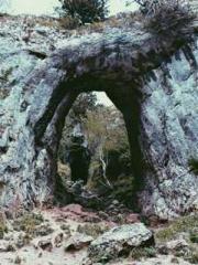 lt;Diga: From Jetton