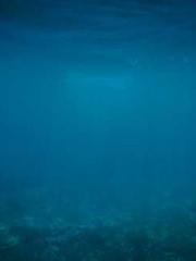 My Amazing Female Te