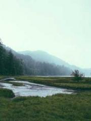 Cultivating My Empre