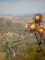 Rebirth of the Super