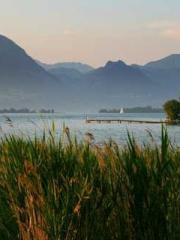 The Generalapos;s Hu