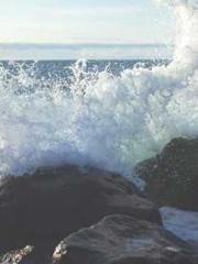 Becoming a Farm Girl