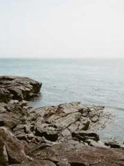 One Night of Indulge