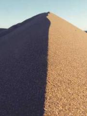 Lu Zongapos;s Hidden