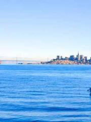 Rebirth of the Urban